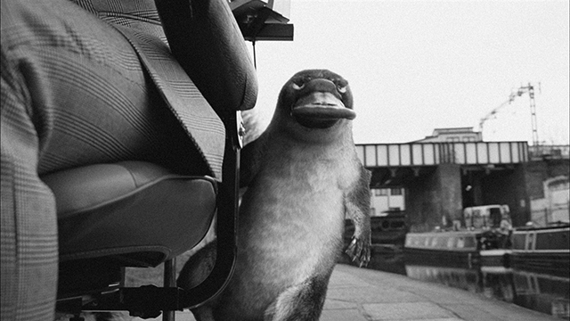 FIRST DIRECT "PLATYPUS"<br />
TVC :60 FIRST DIRECT "PLATYPUS"<br />
TVC :60
