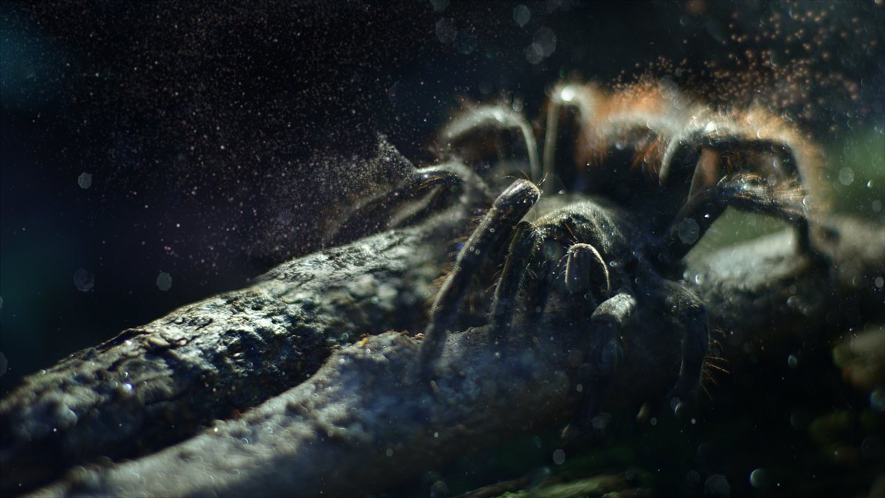 SAMSUNG "LIFE IN EVERY PIXEL"<br />
Cinema :60 SAMSUNG "LIFE IN EVERY PIXEL"<br />
Cinema :60