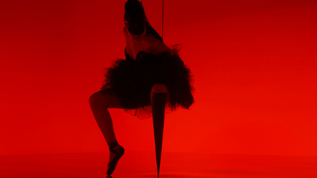 BORN RISKY: VIKTORIA MODESTA 