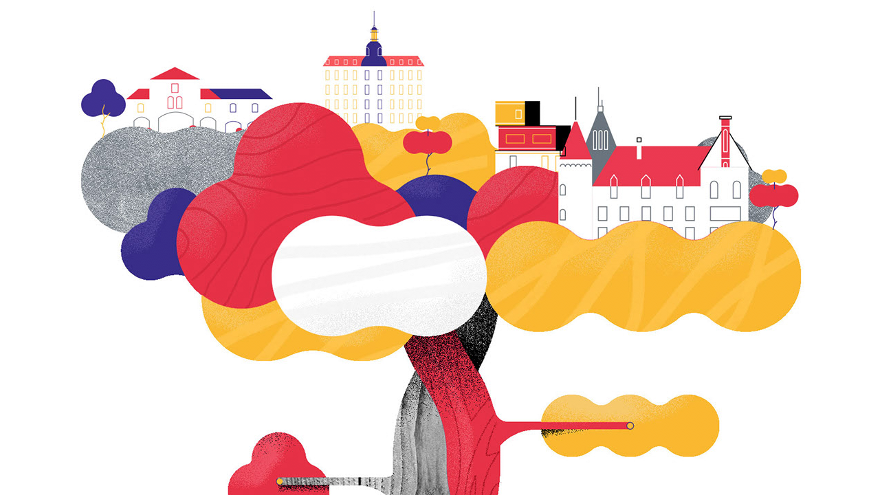 Networks Motion Design Stash