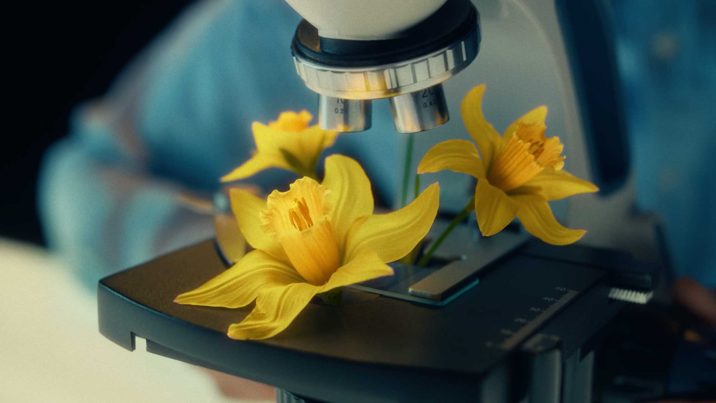 Canadian Cancer Society Help Hope Bloom Reactiv | STASH MAGAZINE