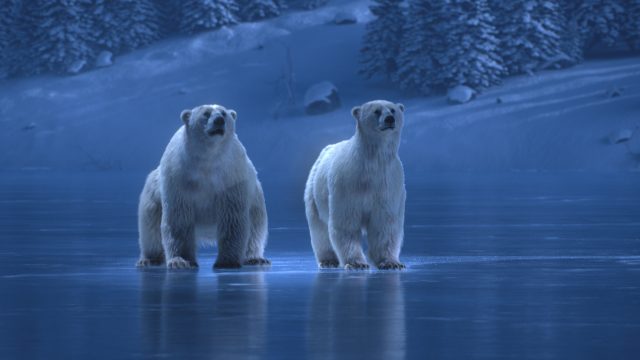ITV Polar Bears dancing on ice | STASH MAGAZINE