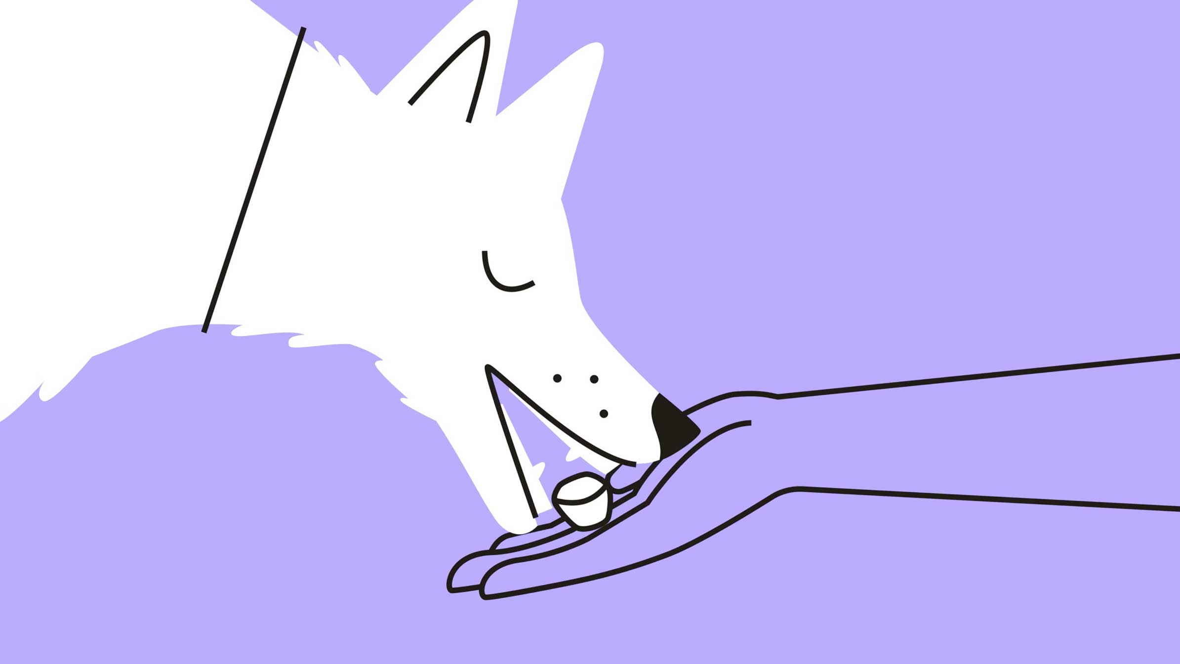 Pets As Therapy Jolt Studio 