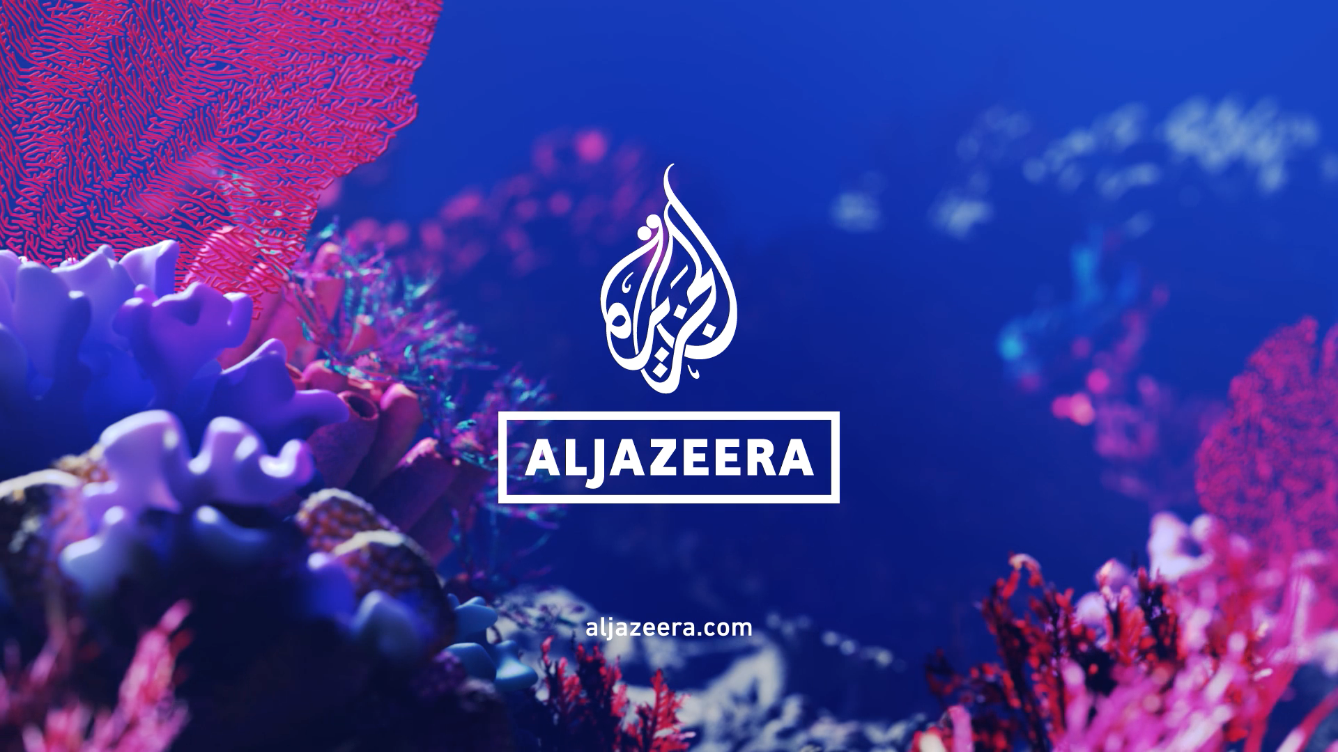Al Jazeera Archives - Motion design - STASH : Motion design – STASH