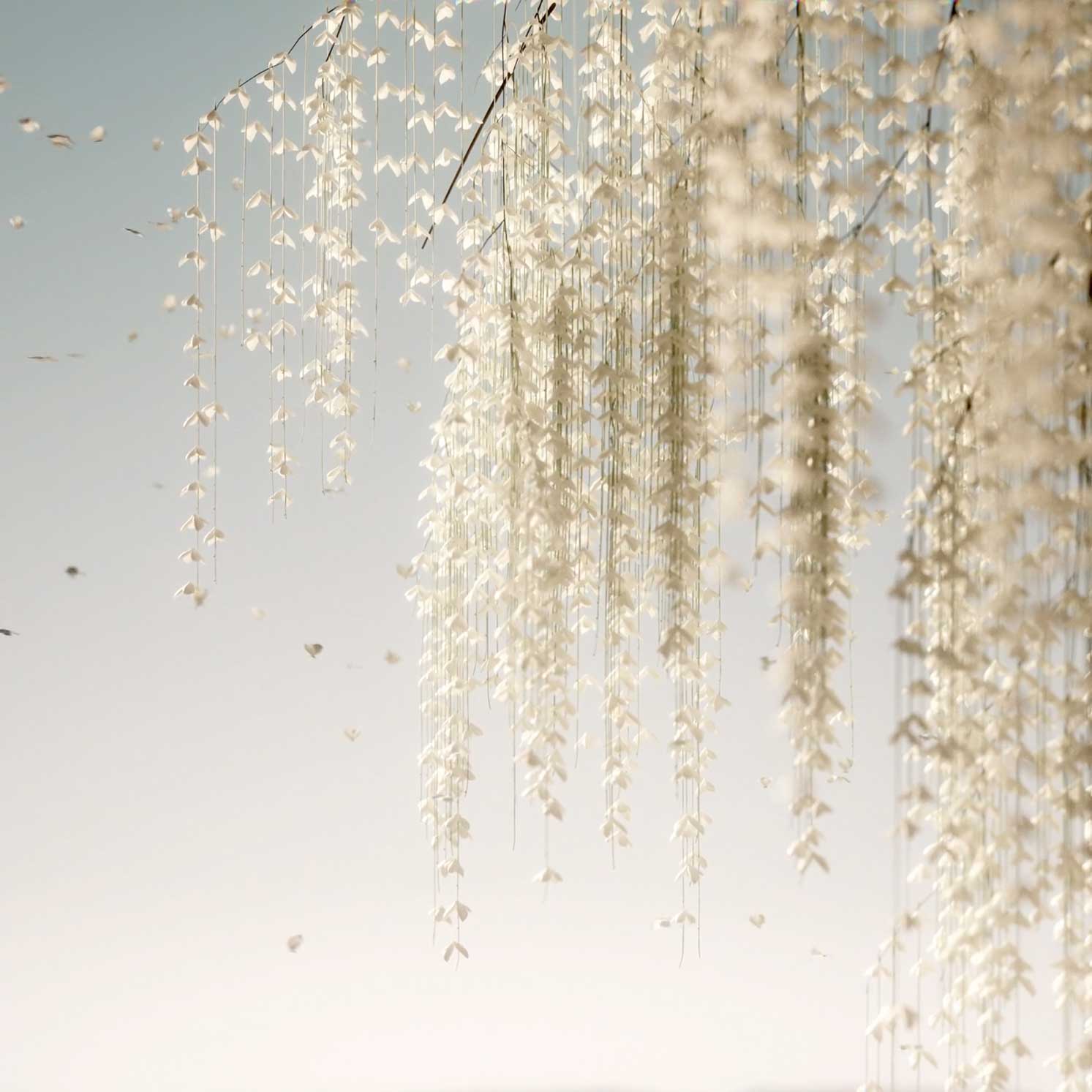 Six N. Five New Life CG Short Film | STASH AMAGZINE