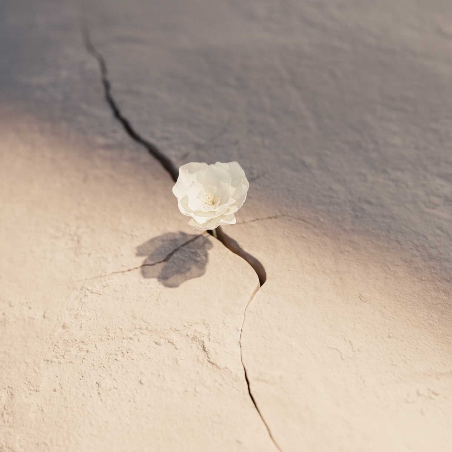 Six N. Five New Life CG Short Film | STASH AMAGZINE
