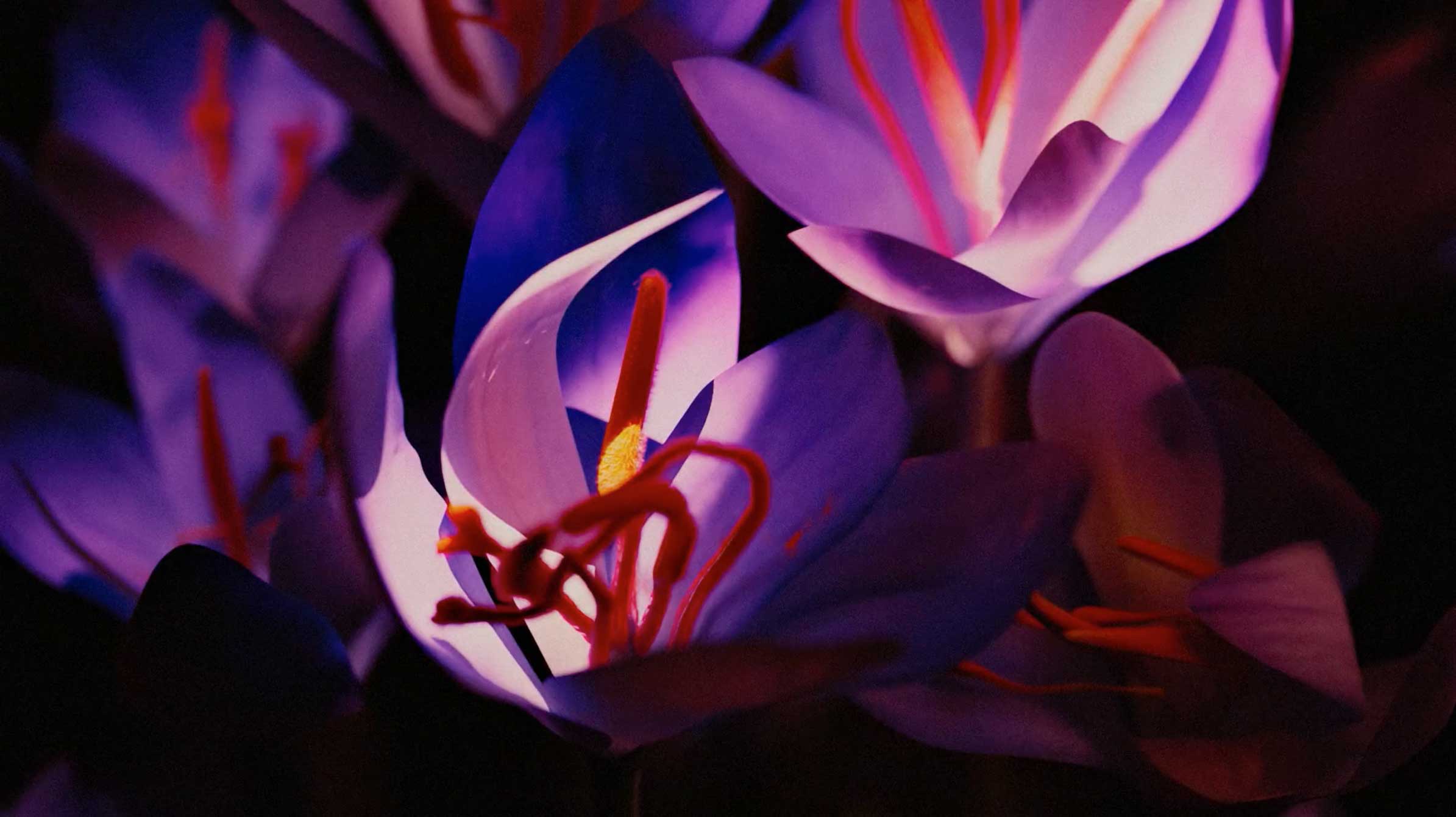 Tomakti Studio Spawns Science From Nature for Eallos | STASH MAGAZINE