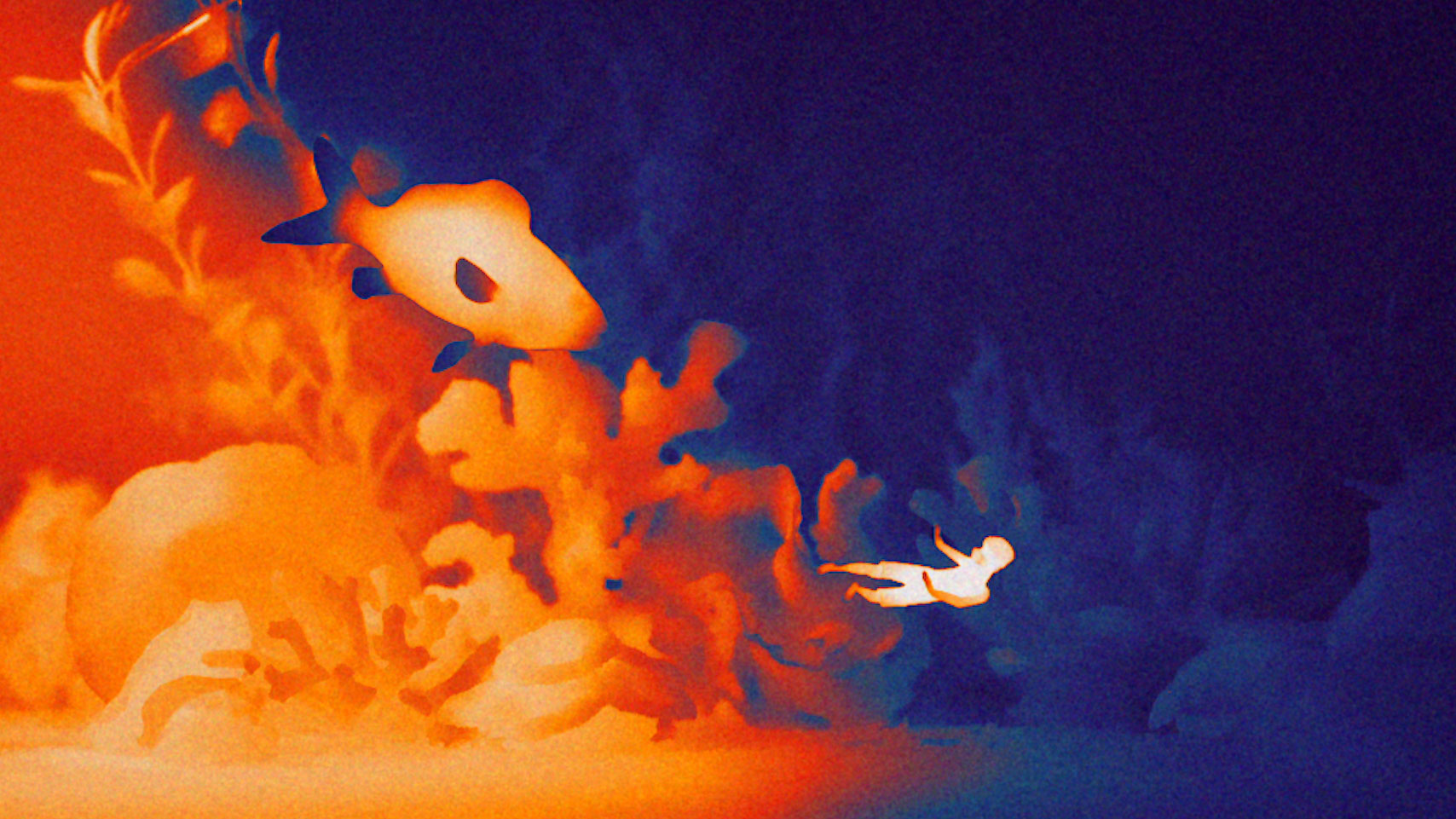 Watch How NOMINT Animated the WWF COP29 Film With Thermal Stop