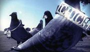MTV2 IDs
Broadcast design