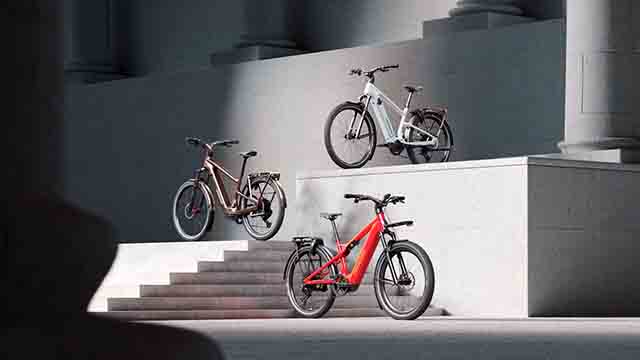 SPECIALIZED 