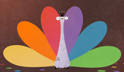 NBC 