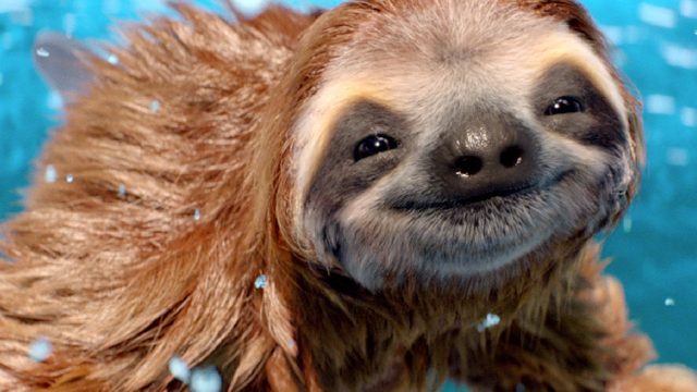 Dolph-a-sloth says 