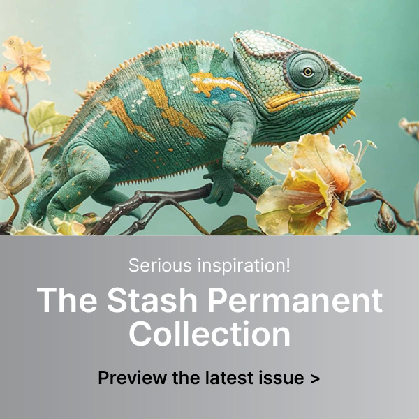 Serious Inspiration! The Stash Permanent Collection - Preview the latest issue