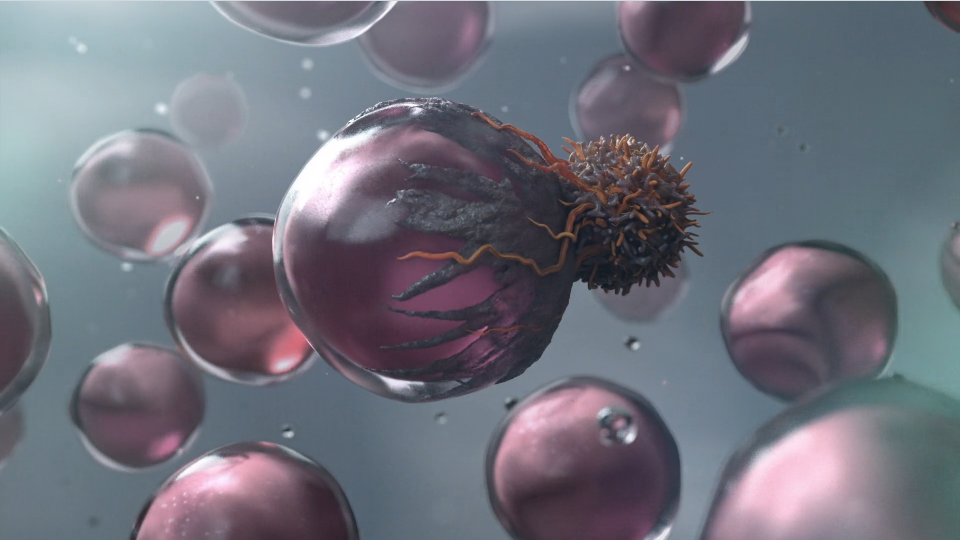 Heckler Australian Cancer Research Foundation animated TV spot | STASH MAGAZINE