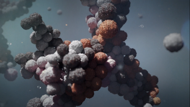 Heckler Australian Cancer Research Foundation animated TV spot | STASH MAGAZINE