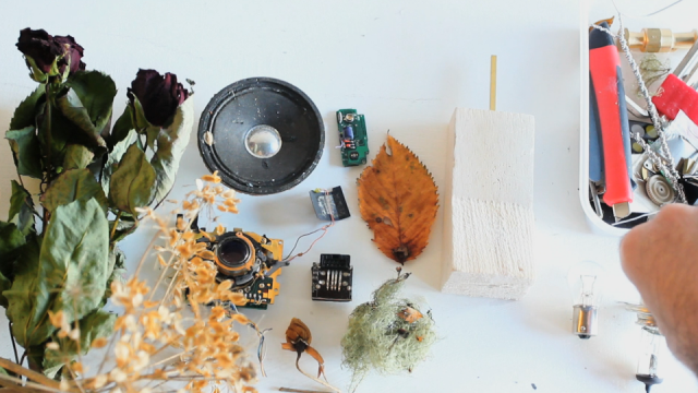 Ainslie Henderson Stems stopmotion short film | STASH MAGAZINE