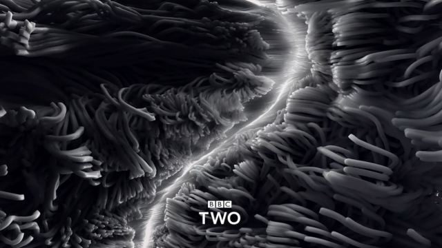 BBC TWO  BRAND REFRESH Superunion | STASH MAGAZINE