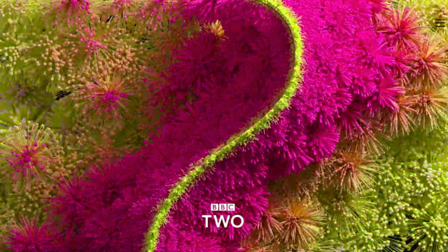 BBC TWO  BRAND REFRESH Superunion | STASH MAGAZINE