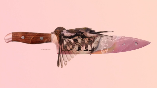 Sami Fitz Dead Birds music video | STASH MAGAZINE