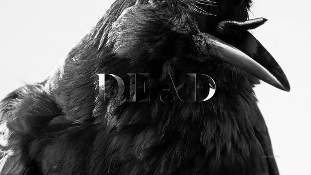 Sami Fitz Dead Birds music video | STASH MAGAZINE