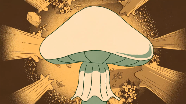 Life Up Close: Death-Cap Mushrooms The Atlantic Elyse Kelly | STASH MAGAZINE
