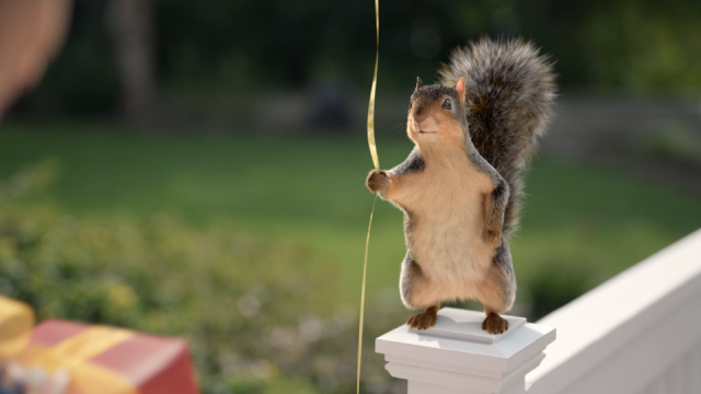 Squirrel-Sized Safety Tips by Ntropic