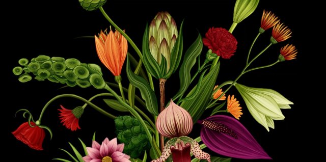 Story of Flowers animated short film by James Paulley | STASH MAGAZINE