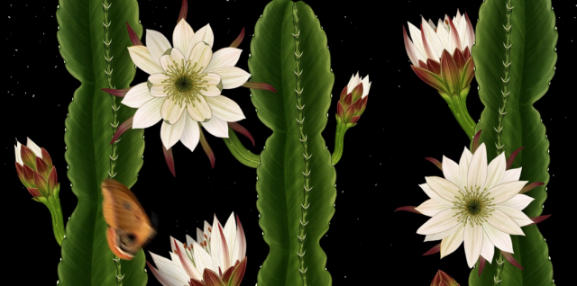 Story of Flowers animated short film by James Paulley | STASH MAGAZINE