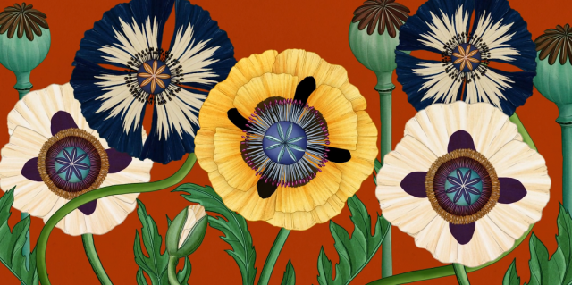 Story of Flowers animated short film by James Paulley | STASH MAGAZINE