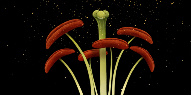 Story of Flowers animated short film by James Paulley | STASH MAGAZINE