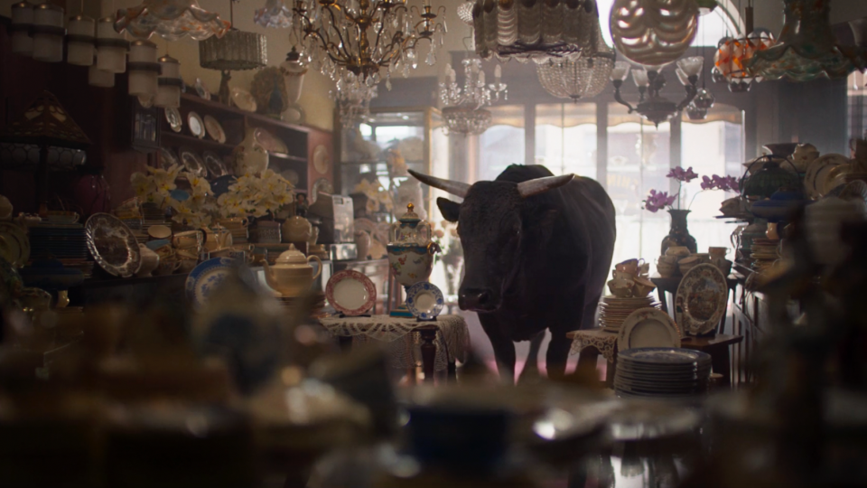 Money Supermarket Money Calm Bull commercial | STASH MAGAZINE