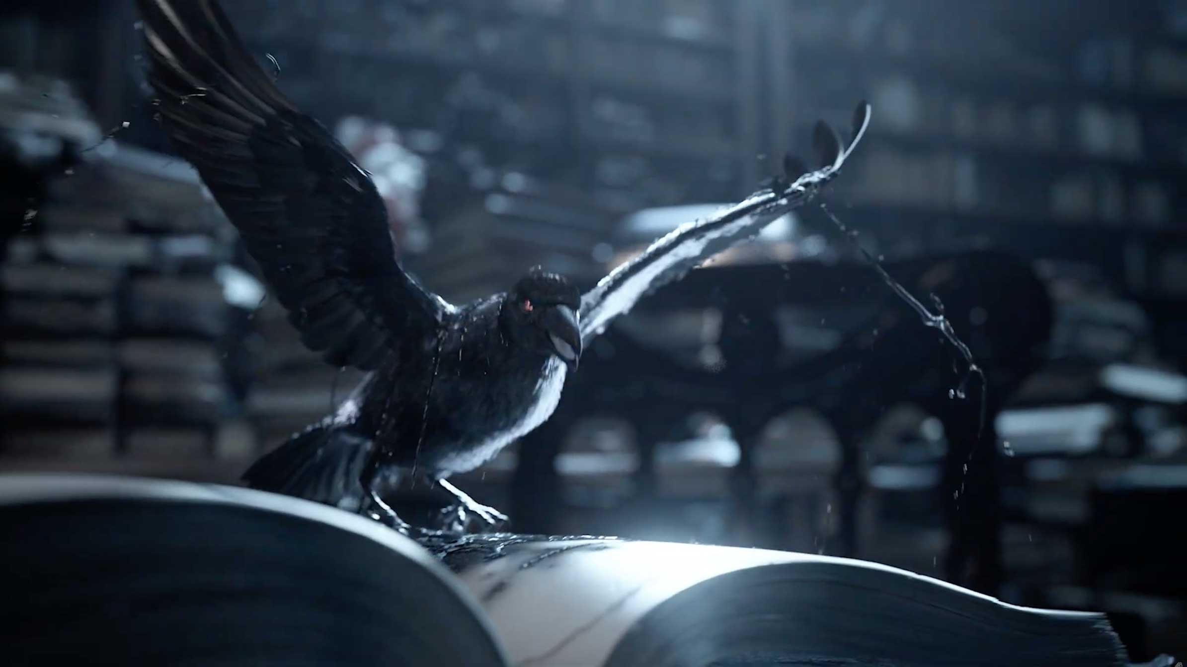 2025 Baltimore Ravens Hype Opener Video by Already Been Chewed | STASH MAGAZINE