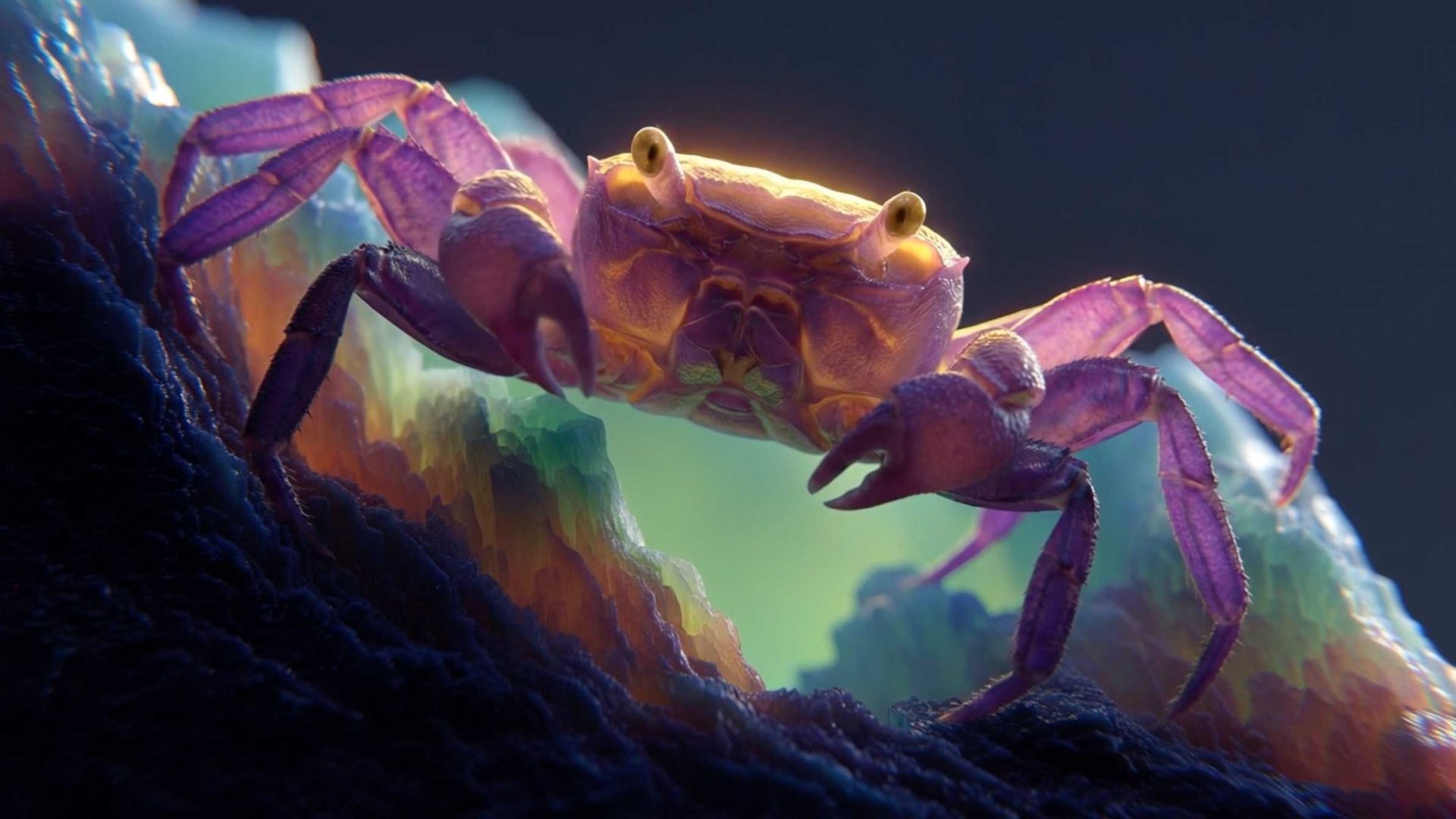 A close-up of a vibrant, purple crab with yellow highlights stands on a textured, multicolored rocky surface, illuminated by soft, colorful lighting with a dark, blurred background. EXO Beeldmotion AI-Generated Title. Frame from Stash Magazine article.