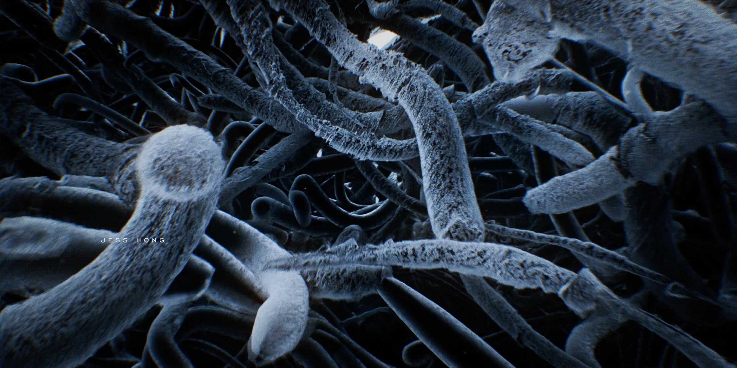 3 Body Problem Title Sequence Antibody | STASH MAGAZINE