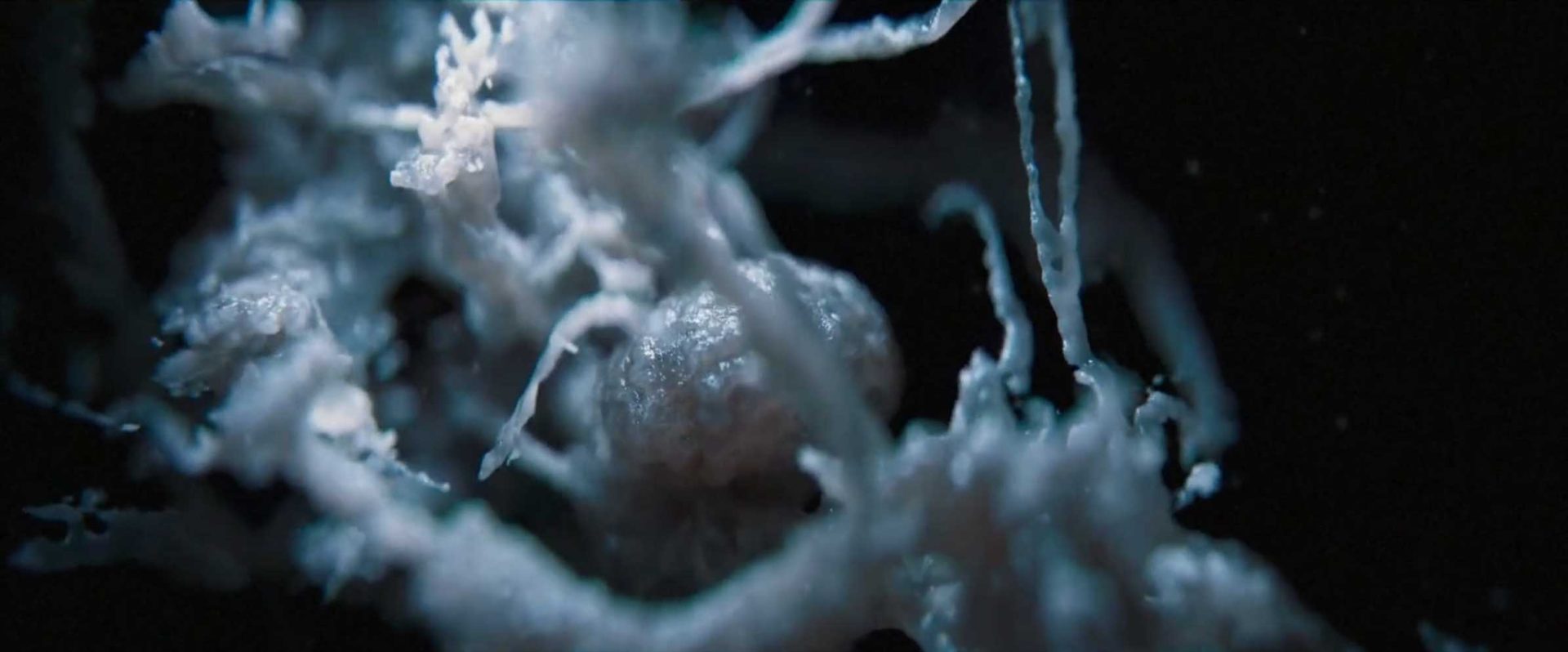 Alien Earth launch by Tendril and FX Networks | STASH MAGAZINE