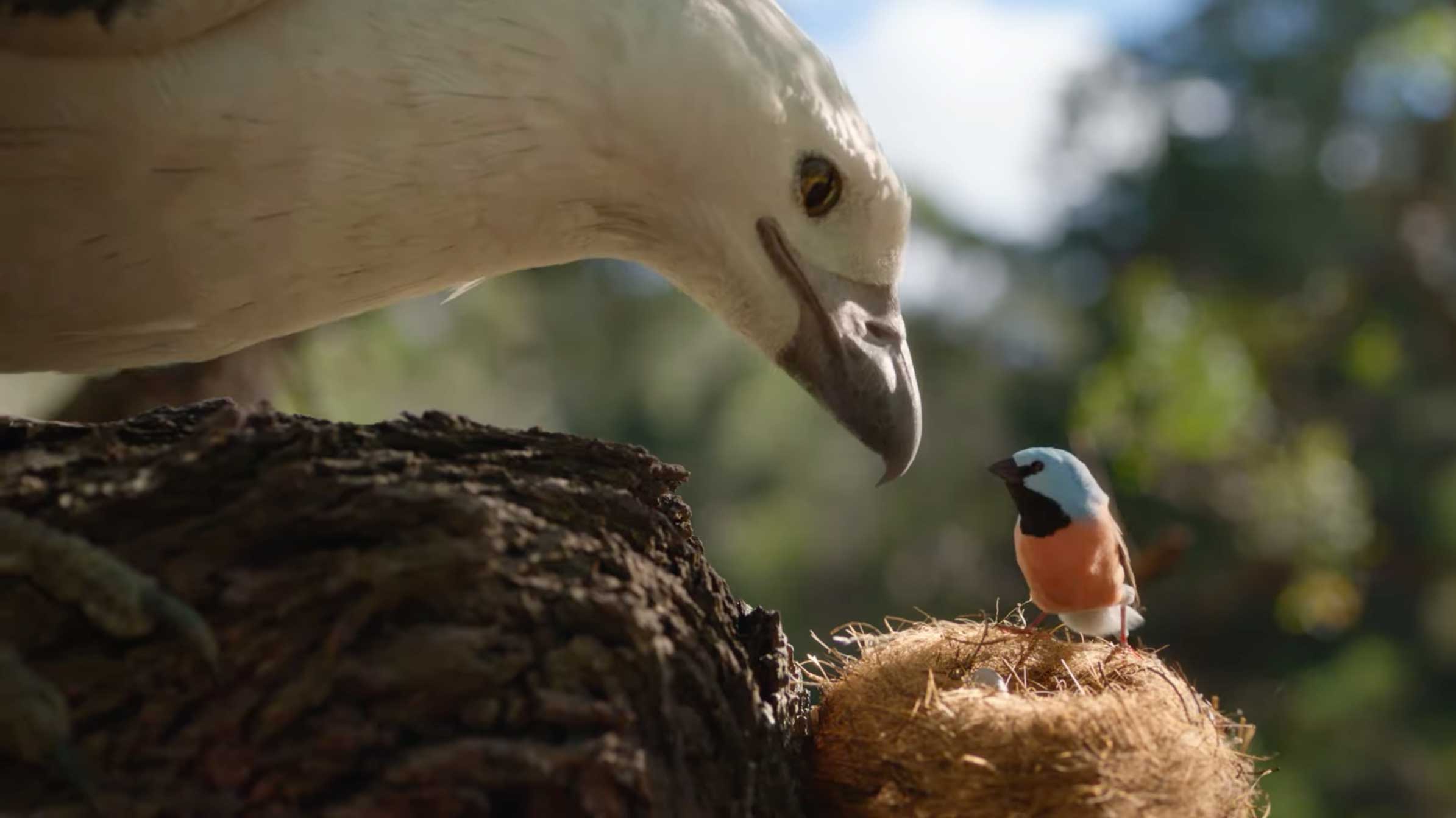 Allianz Care You Can Count On spot by Michael Gracey & Alt vfx | STASH MAGAZINE