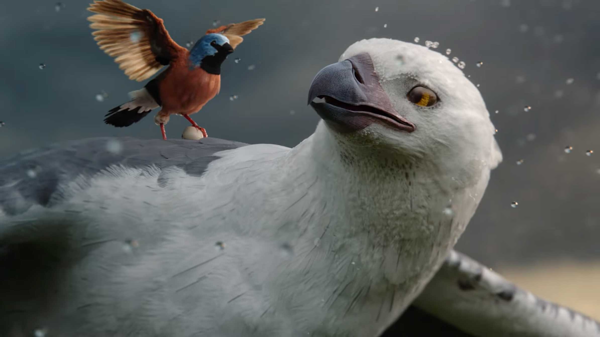 Allianz Care You Can Count On spot by Michael Gracey & Alt vfx | STASH MAGAZINE