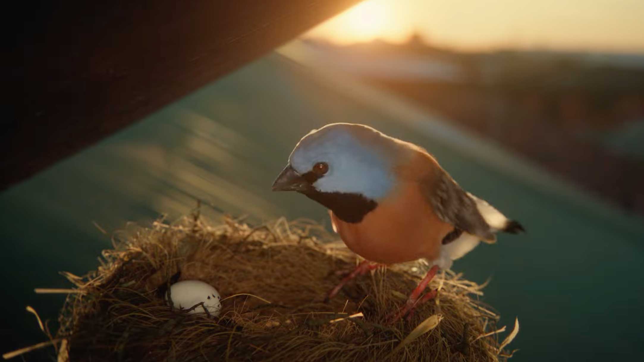 Allianz Care You Can Count On spot by Michael Gracey & Alt vfx | STASH MAGAZINE