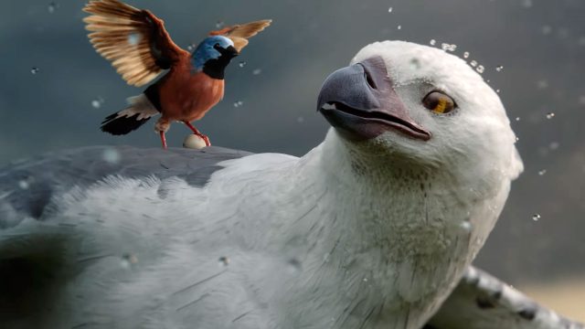 Avians, Avril, & Allianz: Michael Gracey and Alt.vfx Take Flight