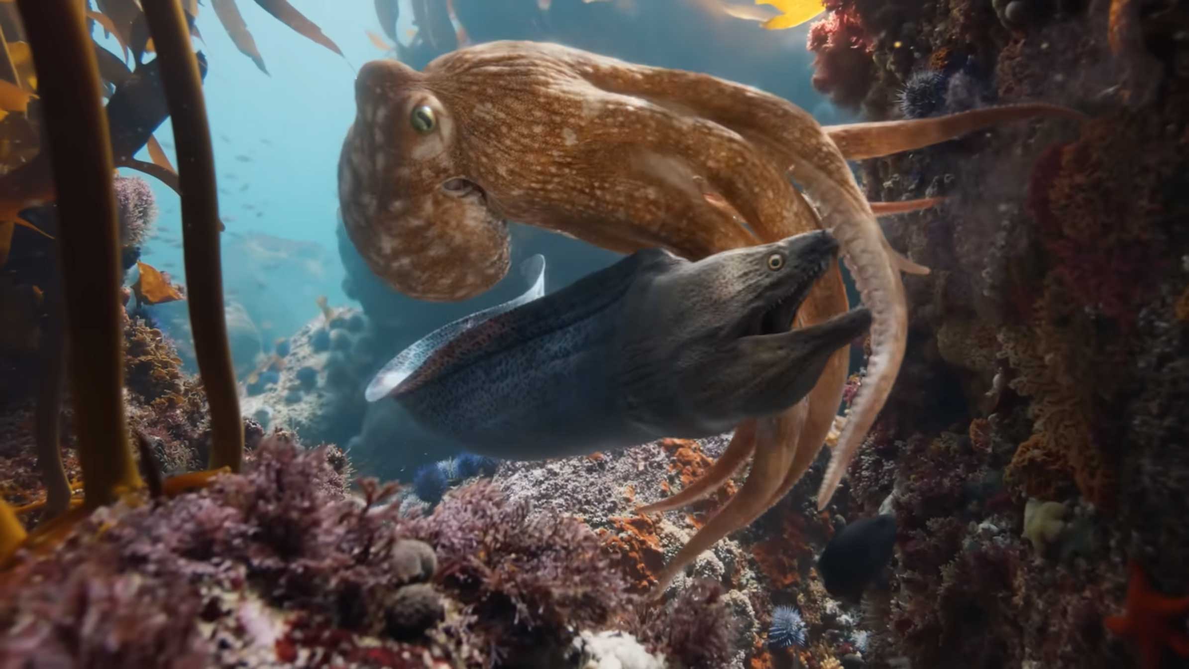 BMW Heart of Joy commercial by Untold and Parasol Island | STASH MAGAZINE