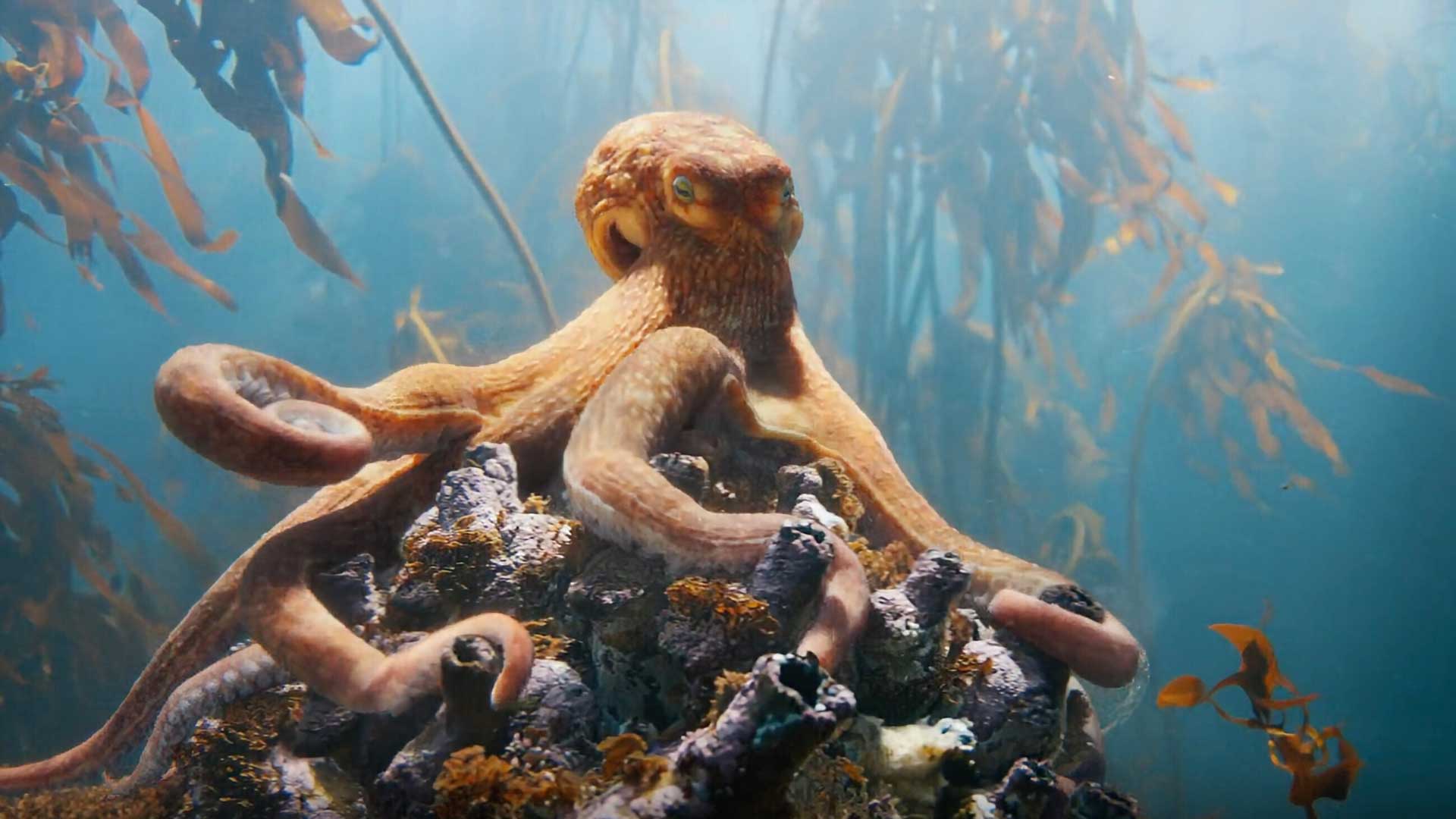 BMW-Okto VES awards winner by Untold Studio | STASH MAGAZINE.jpg