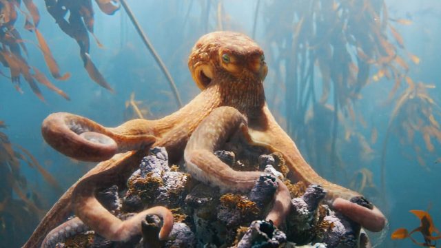 Untold Studios Wins Two VES Awards for BMW 