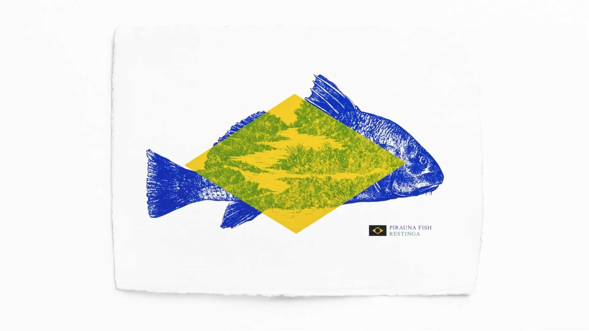 A blue piranha fish illustration features a yellow diamond with a green center, resembling the Brazilian flag. The label below reads Piranha Fish Restinga, including a small Brazilian flag icon and the message: No Blue No Green. Frame from Stash Magazine article.