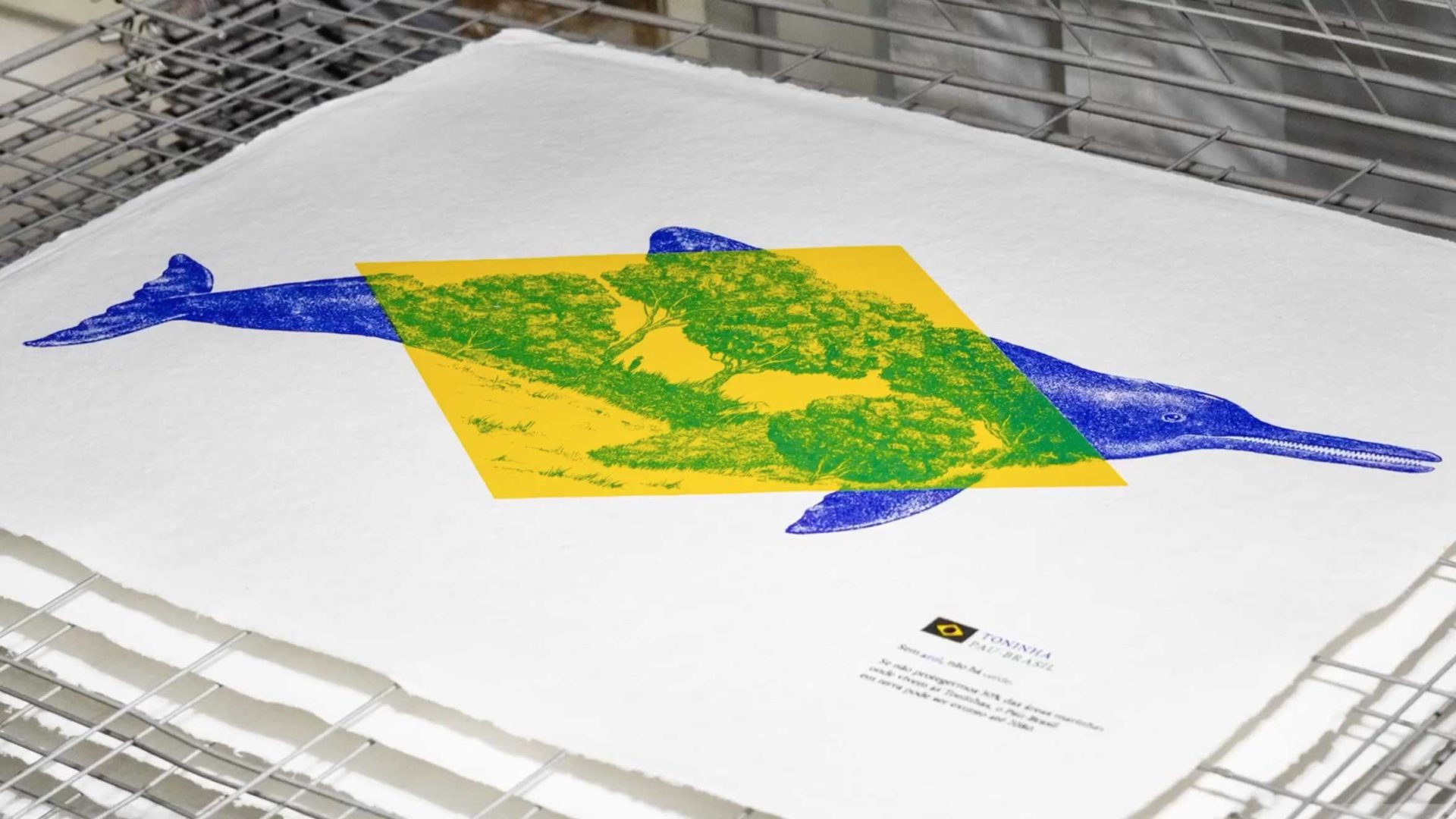 A print titled "No Blue No Green" depicts a blue prehistoric marine reptile against a green landscape with a yellow geometric overlay on textured white paper, drying on a metal rack. A small label is visible in the bottom right corner. Frame from Stash Magazine article.