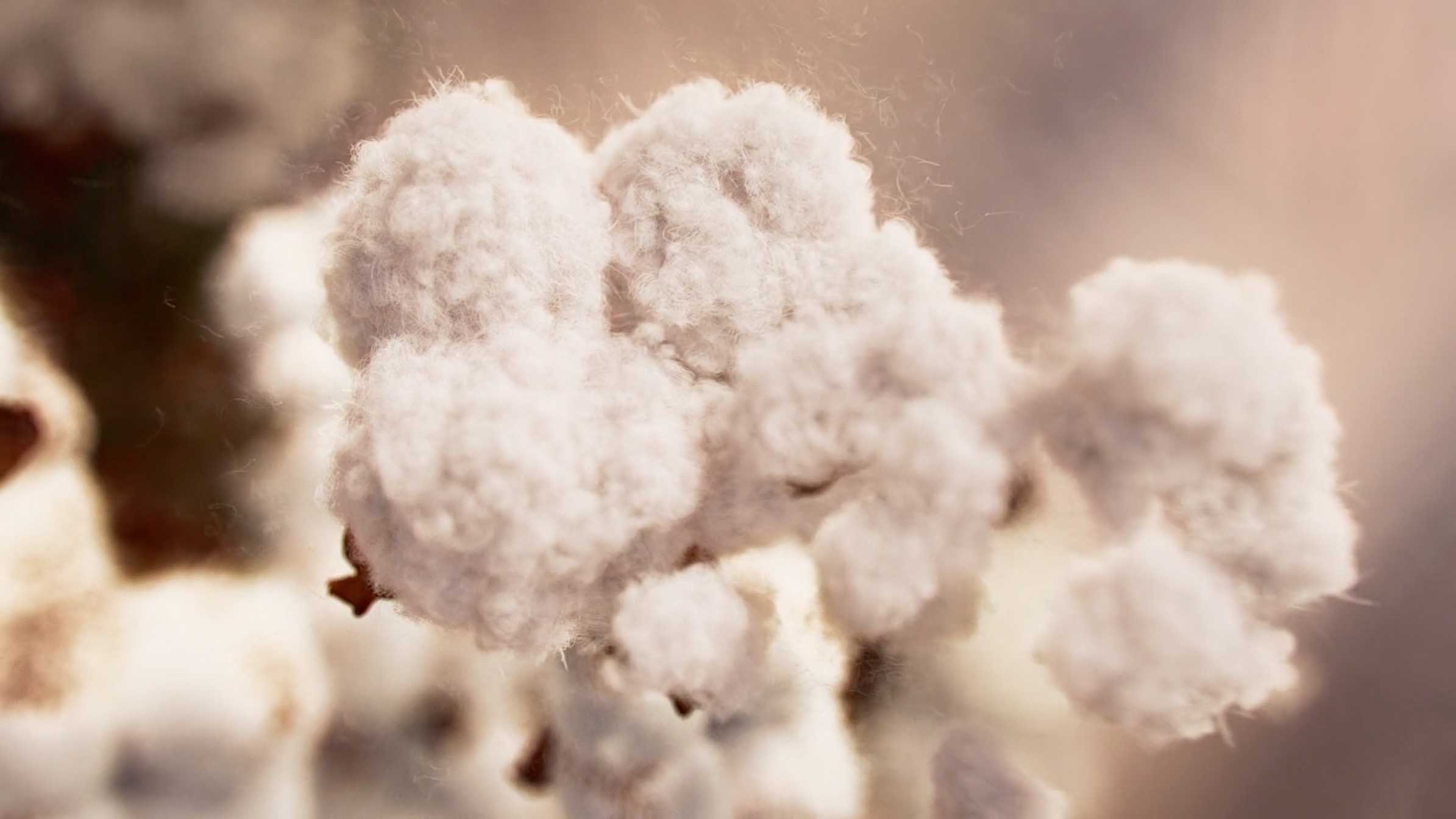 Boll and Branch Let Extraordinary Take Over ad by The Joelsons and Steelworks | STASH MAGAZINE