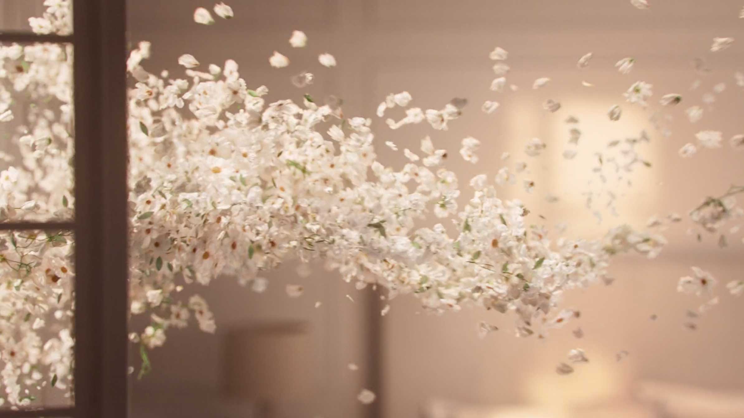 Boll and Branch Let Extraordinary Take Over ad by The Joelsons and Steelworks | STASH MAGAZINE
