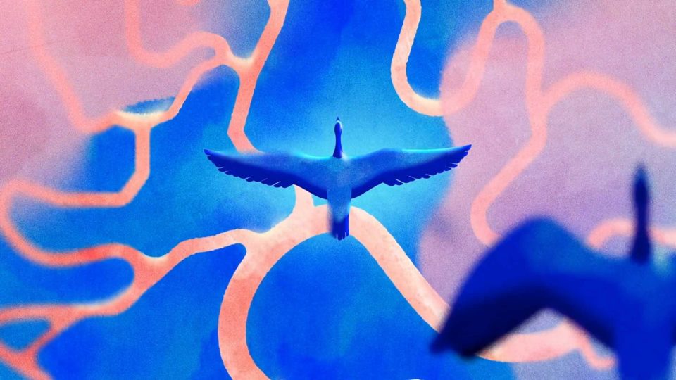 A stylized image of a bird flying with wings outstretched, set against an abstract blue and pink background with curved, glowing orange lines, created for the Brume & Gunsmoke Open One Health Summit 2026 for the French Government. Frame from Stash Magazine article.