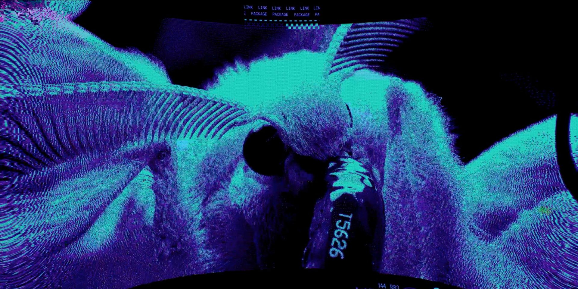 Close-up, blue-tinted image of a moth’s face showing detailed antennae, large black eyes, and a proboscis with the number 15626 printed on it. The background is dark with blurry, abstract shapes, reminiscent of a Bungie Marathon You Are Dead Cinematic Edit by Antibody. Frame from Stash Magazine article.