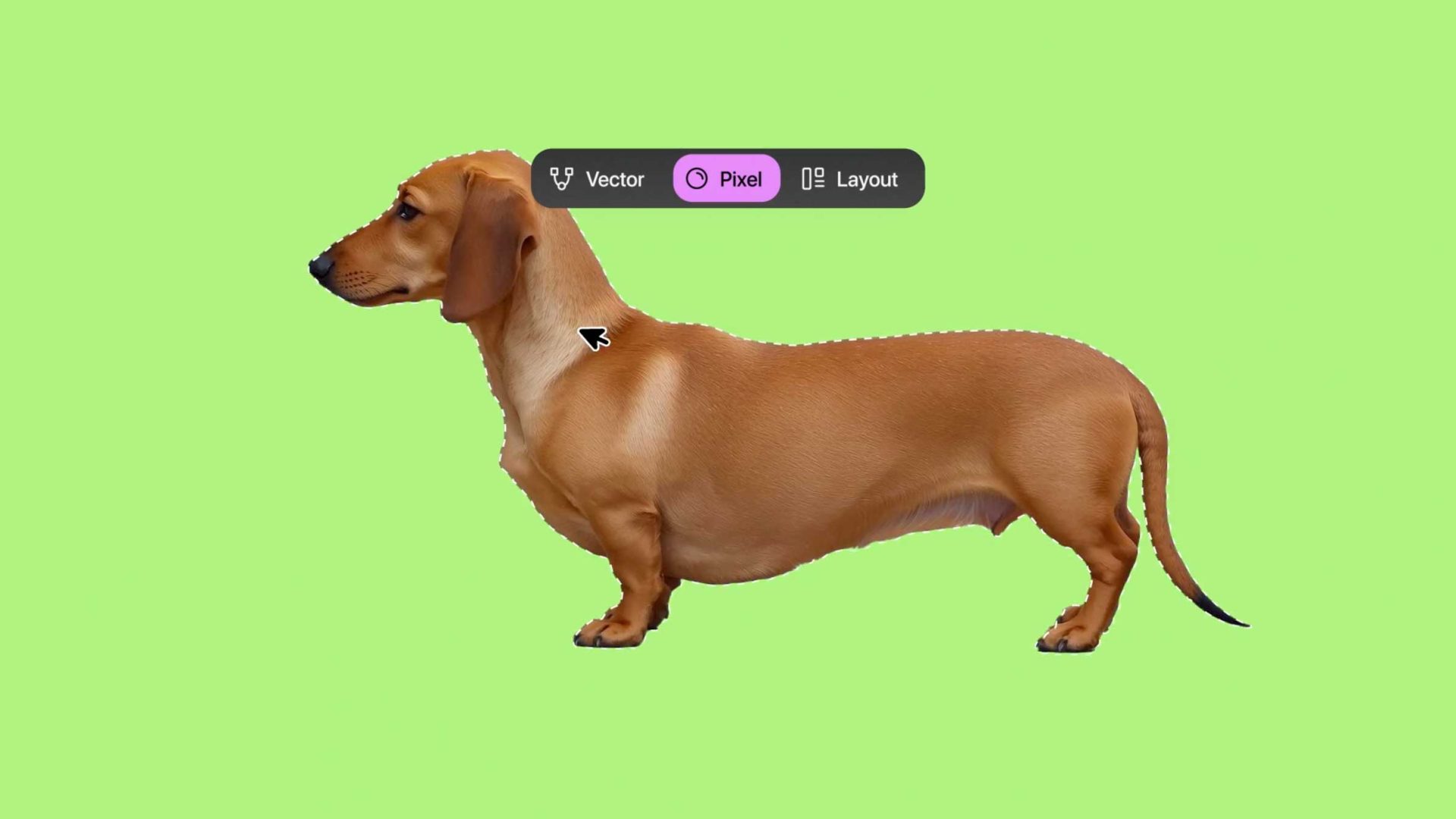 A brown dachshund stands in profile on a green background in Canva. A digital selection outline and a cursor are visible on its body, with options for Vector, Pixel, and Layout displayed above. Frame from Stash Magazine article.