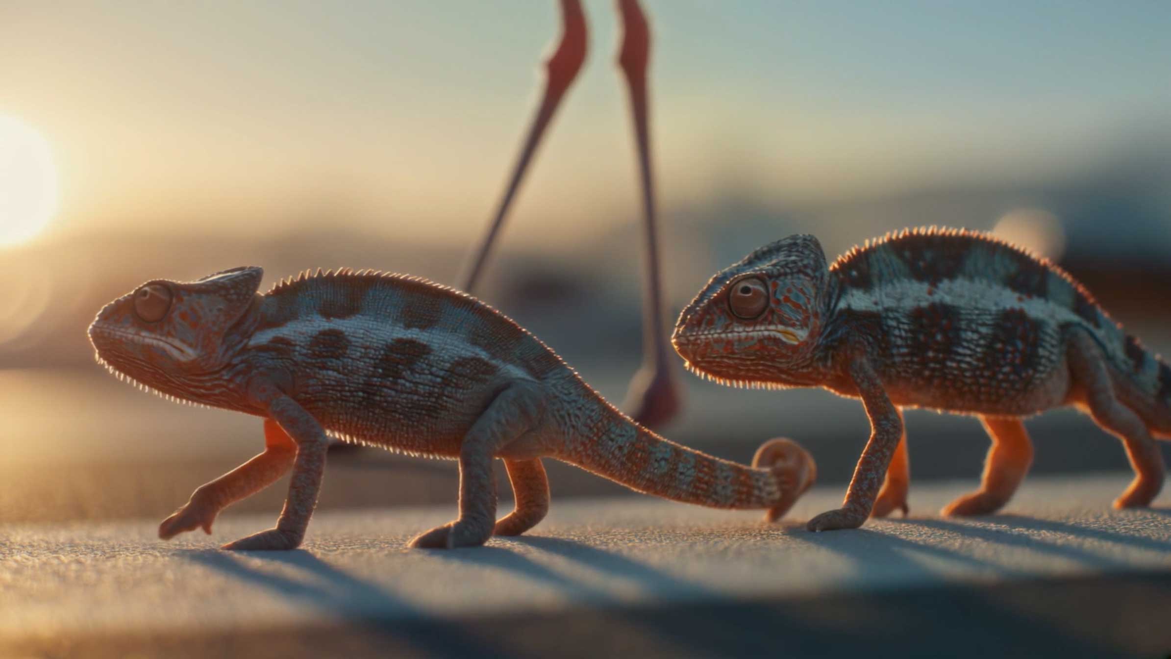 Cathay Pacific Cargo Big and Small ad by Brent Bonacorso | STASH MAGAZINE
